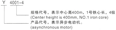 西安泰富西玛Y系列(H355-1000)高压YJTFKK6303-6三相异步电机型号说明